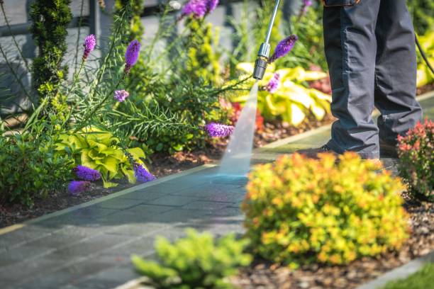 Best Dumpster Area Cleaning  in Bowling Green, OH